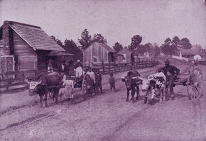 Ein Dorfbild der glücklichen Zufriedenheit in Virginia von American Photographer (after)