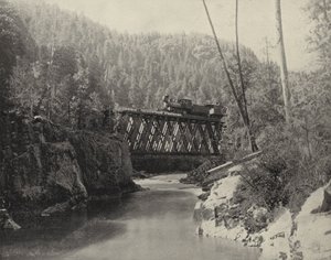 Brücke im Animas Canyon, Colorado von American Photographer (after)