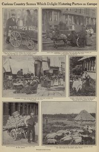 Kuriose ländliche Szenen, die Autofahrer in Europa erfreuen von American Photographer (after)