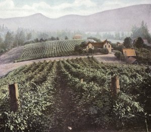 Oregon: Diversifizierte Landwirtschaft im Willamette-Tal von American Photographer (after)