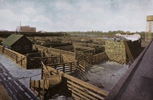 Oregon: Portland Union Stock Yards von American Photographer (after)