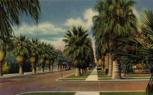 Phoenix, Arizona: North Central Avenue von American Photographer (after)
