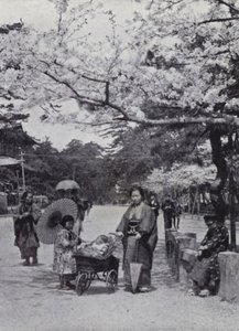 Unter den Kirschblüten im Shiba-Park, Tokio von American Photographer (after)