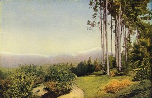 Eine Landschaft in Südkalifornien nahe Redlands von American Photographer