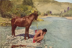 Apache-Krieger, Rio Navaho, Arizona