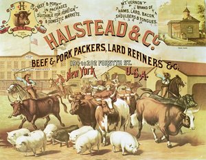 Rind- und Schweinepacker, ca. 1880 von American Photographer