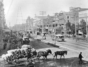 Canal Street, New Orleans, Louisiana, ca. 1890 von American Photographer