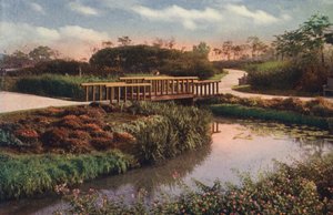 Chicago: Windende Pfade und Fußgängerbrücken im neuen Abschnitt des Humboldt Parks, Nordwestseite von American Photographer