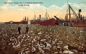 Galveston, Texas, USA, der erste Baumwoll-Exporthafen der Welt von American Photographer