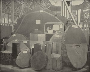 Gladstones Axt von American Photographer