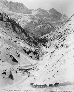 Blick hinunter durch den Cutoff Canyon von einer halben Meile unterhalb des White Pass Summit, während des Klondike-Goldrauschs (1817-98) 1898 von American Photographer