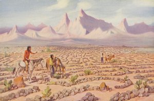 Mystisches Labyrinth der Mojave-Indianer, in der Nähe von Needles, Kalifornien von American Photographer