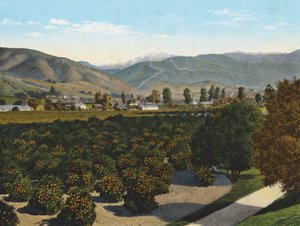 "Old Baldy" aus dem Pomona Valley von American Photographer