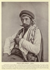Prinz Mere Hemcy, Araber