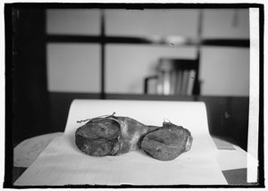 Prohibitionseinheit (Kuhschuhe), 28. Juni 1924 von American Photographer