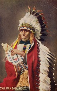 Tall Man Dan, Sioux von American Photographer