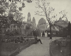 Die bewaldete Insel von American Photographer