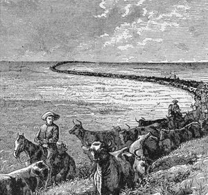 Ein Pfad in den Great Plains, Illustration aus 