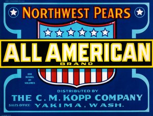 All American Brand Obstkistenetikett, ca. 1920 von American School