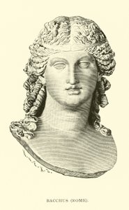 Bacchus, Rom