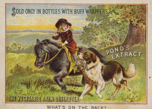 Junge reitet auf einem Pony mit seinem Hund von American School