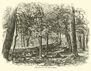 Schanzwerk im Wald, Juli 1863