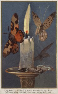 Schmetterlinge um eine brennende Kerze von American School