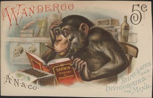 Charles Darwin, Theorie der Entwicklung (d.h. Evolution) von American School