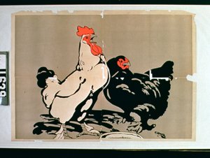 Hahn und Henne von American School