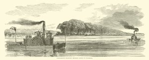Konföderierter Transport bringt Vieh nach Vicksburg, Februar 1863