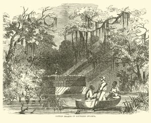 Baumwollhorte in südlichen Sümpfen, Juli 1862 von American School
