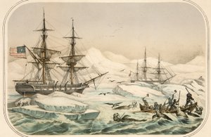 Besatzung eines Walfangschiffs wird von Walross angegriffen von American School