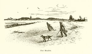 Fort Moultrie von American School