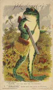 Frosch mit Schrotflinte und Tasche von American School