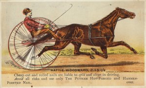 Herr fährt sehr schnell mit Pferd von American School