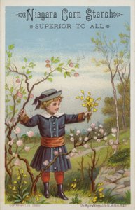Mädchen mit Blumenstrauß auf dem Land von American School