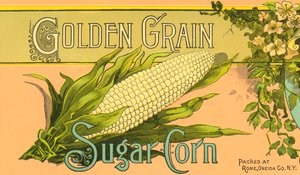 Golden Grain Zuckermais Produktetikett, ca. 1890 von American School