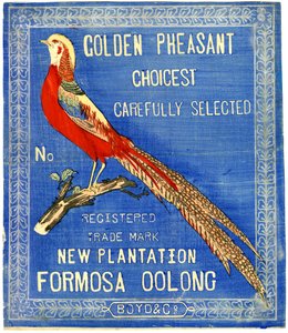 Goldener Fasan, sorgfältig ausgewählt, Nr. eingetragene Handelsmarke Neue Plantage Formosa Oolong von American School