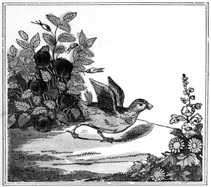Illustration aus der bemerkenswerten Geschichte von Chicken Little, 1840 von American School