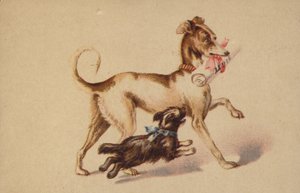 Großer und kleiner Hund rennen von American School