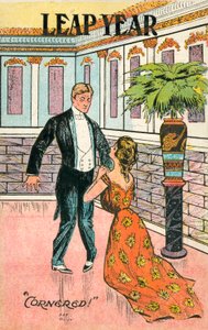 Heiratsantrag im Schaltjahr von American School
