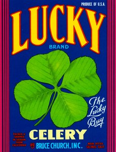 Lucky Brand Sellerie Fruchtkistenetikett, ca. 1920 von American School