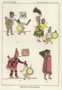Mexikanische Militärabzeichen von American School
