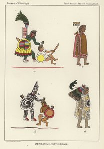Mexikanische Militärabzeichen von American School
