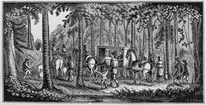 Mr. Hooker und seine Gemeinde reisen durch die Wildnis von American School