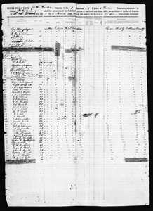 Musterrolle, Dallas County, 1862