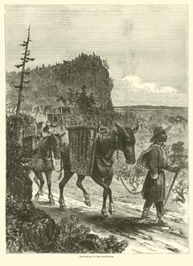 Packesel in den Bergen, Februar 1863 von American School