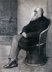 Porträt von Charles Darwin