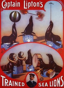 Plakatwerbung für 