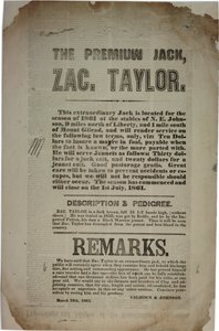 Verhandlungen und Ansprache der Verfassungskonvention, ca. 19. März 1861